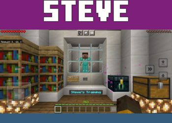 Steve Training Map from Maps for Minecraft 1.20.0 and 1.20