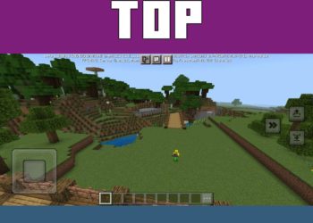Top View from Roblox Map for Minecraft PE