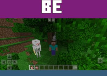 Be Careful from Skeleton Mod for Minecraft PE