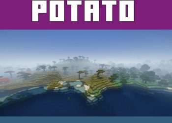Potato from Shaders for Minecraft Java 1.21
