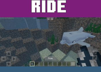 Ride Dolphin from Diving Mod for Minecraft PE