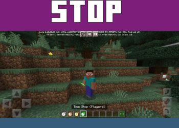 Stop Players from Time Stop Mod for Minecraft PE