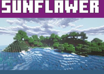 Sunflawer from Shaders for Minecraft Java 1.21