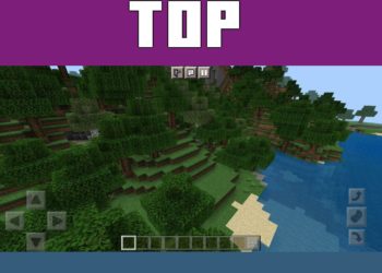 Top View from Prizma Shader for Minecraft PE