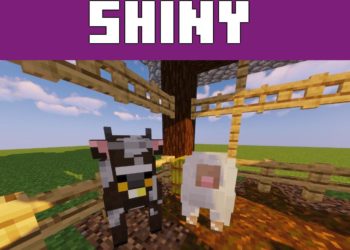 Shiny Entity from Textures for Minecraft Java 1.21