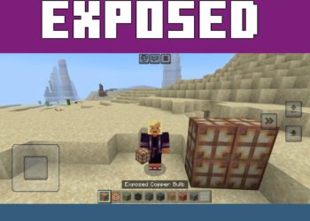 Exposed from Trial Spawner Mod for Minecraft PE