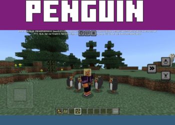 Penguin from Minecraft Live Mod for Minecraft PE