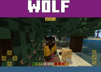 Dog from Mexican Texture Pack for Minecraft PE