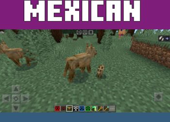 Dogs from Mexico Mod for Minecraft PE