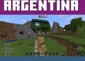 Flag from Argentine Texture Pack for Minecraft PE