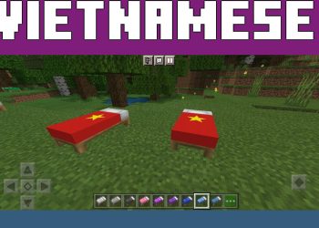 Flags from Vietnamese Texture Pack for Minecraft PE