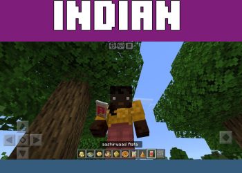 Food from India Mod for Minecraft PE