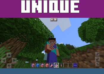Items from USA Texture Pack for Minecraft PE