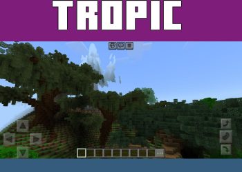 Jungle from Brazil Map for Minecraft PE