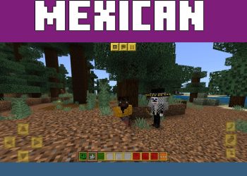 Skeleton from Mexican Texture Pack for Minecraft PE