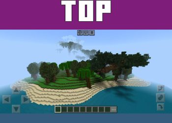 Top View from Brazil Map for Minecraft PE