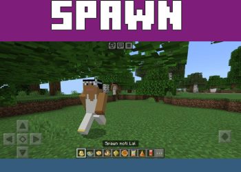 Trader from India Mod for Minecraft PE