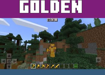 Armor from Bitcoin Mod for Minecraft PE