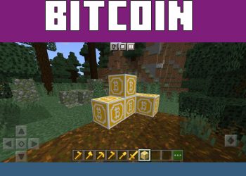 Blocks from Bitcoin Mod for Minecraft PE