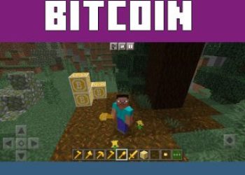 Items from Bitcoin Mod for Minecraft PE