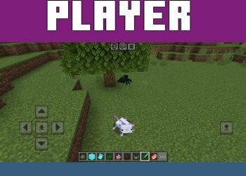 Axolotl from Morph 2 Mod for Minecraft PE