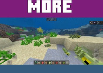 Fishes from Azure Culture Mod for Minecraft PE