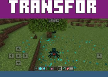 Transformation from Morph 2 Mod for Minecraft PE