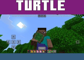 Turtle from Multi Backpack Mod for Minecraft PE