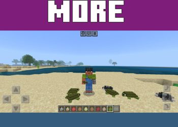 More Turtles from Azure Culture Mod for Minecraft PE