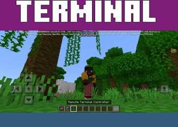 Controller from Storage Terminal Mod for Minecraft PE