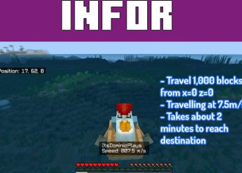 Information from Speedometer Mod for Minecraft PE