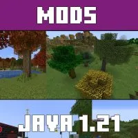 Download Mods for Minecraft Java 1.21