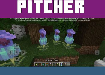 Pitcher Plant from Flowers Texture Pack for Minecraft PE