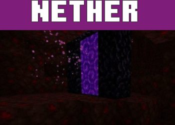 Portal from Nether Haul Texture Pack for Minecraft PE