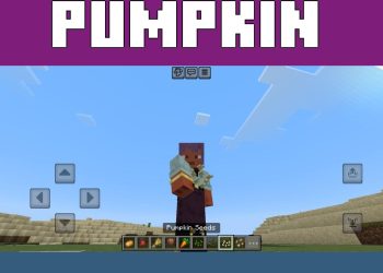 Pumpkin Seeds from Edds Easy Harvest Mod for Minecraft PE