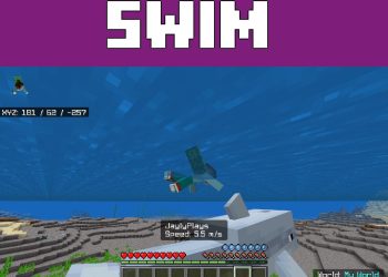 Swim from Speedometer Mod for Minecraft PE