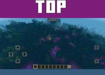 Top View from Plagued PBR Deferred Texture Pack for Minecraft PE