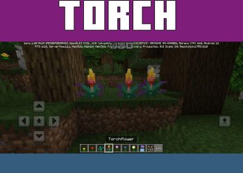 Torchflower from Flowers Texture Pack for Minecraft PE