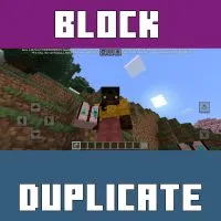 Block Duplicator Mod for Minecraft PE
