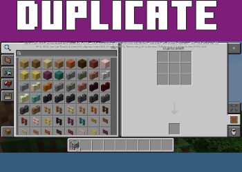 Duplicate from Block Duplicator Mod for Minecraft PE