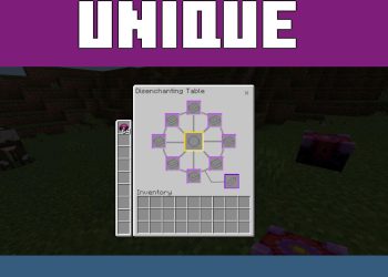 Options from Disenchanter Table Mod for Minecraft PE