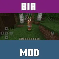 Bia Mod for Minecraft PE