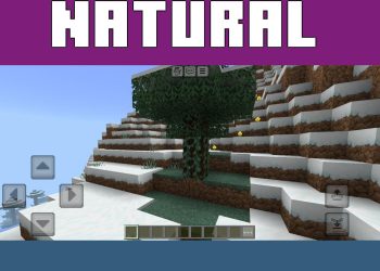 Natural from Multipixel Texture Pack for Minecraft PE