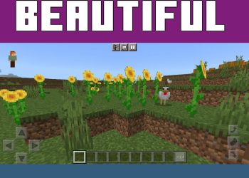 Nature from Zero Shader for Minecraft PE